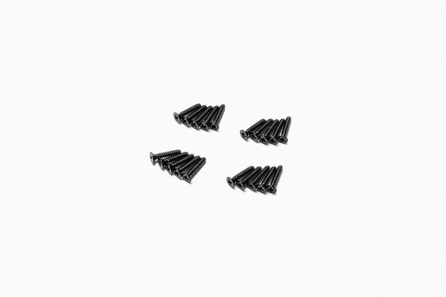 Iron Phillips Screws (KT2×10mm)