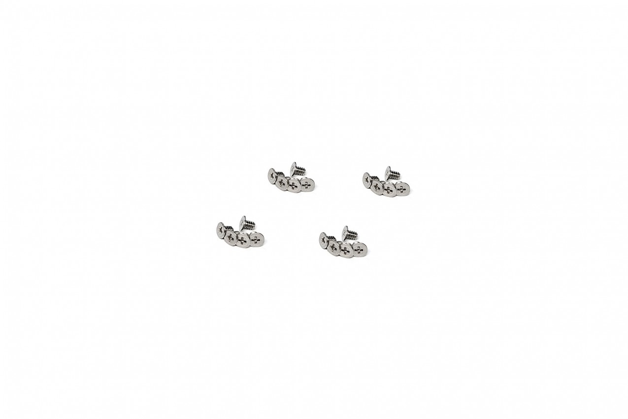 Stainless Steel Phillips Flush Screws (CM2×3mm)