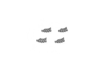 Stainless Steel Hex Socket Button Screw (PM2×6mm)
