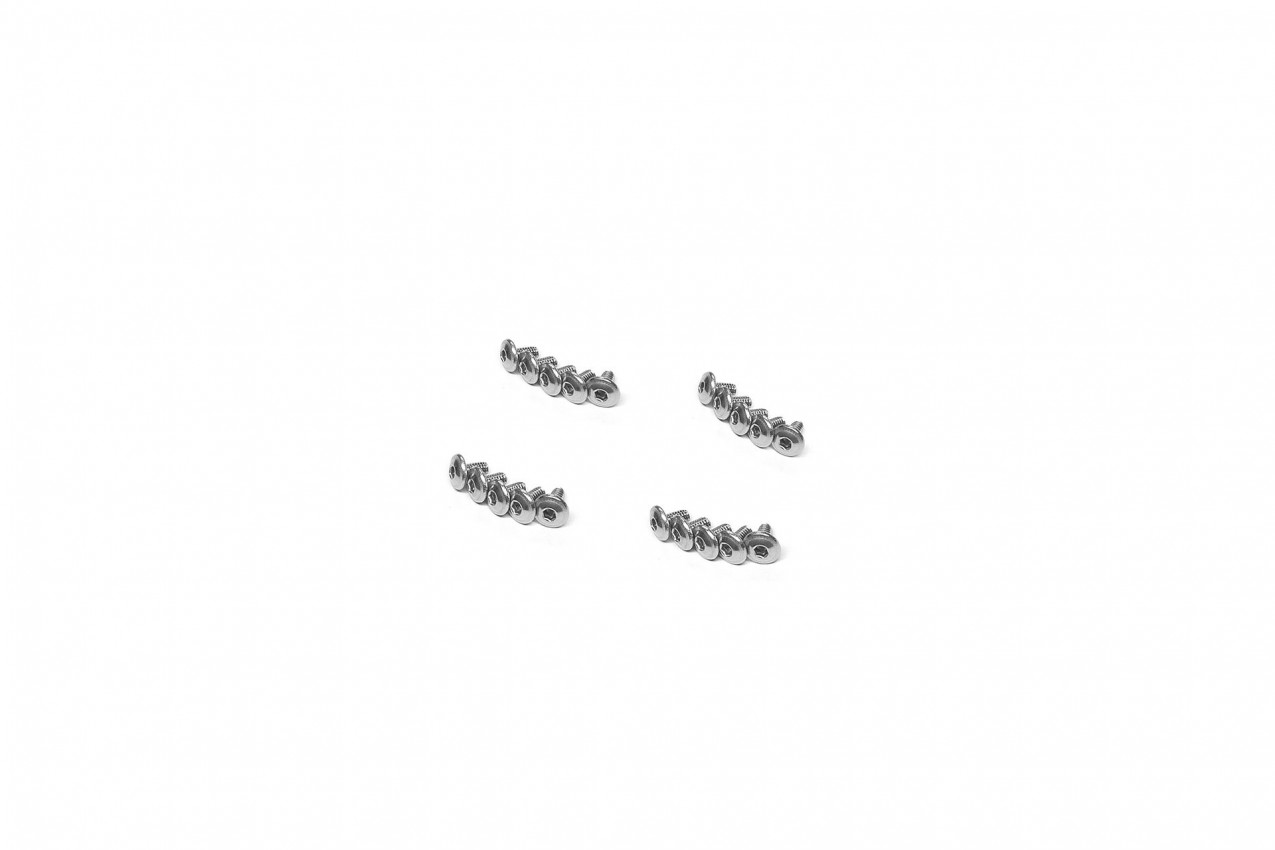 Stainless Steel Hex Socket Washer Screw (WM2×4mm)