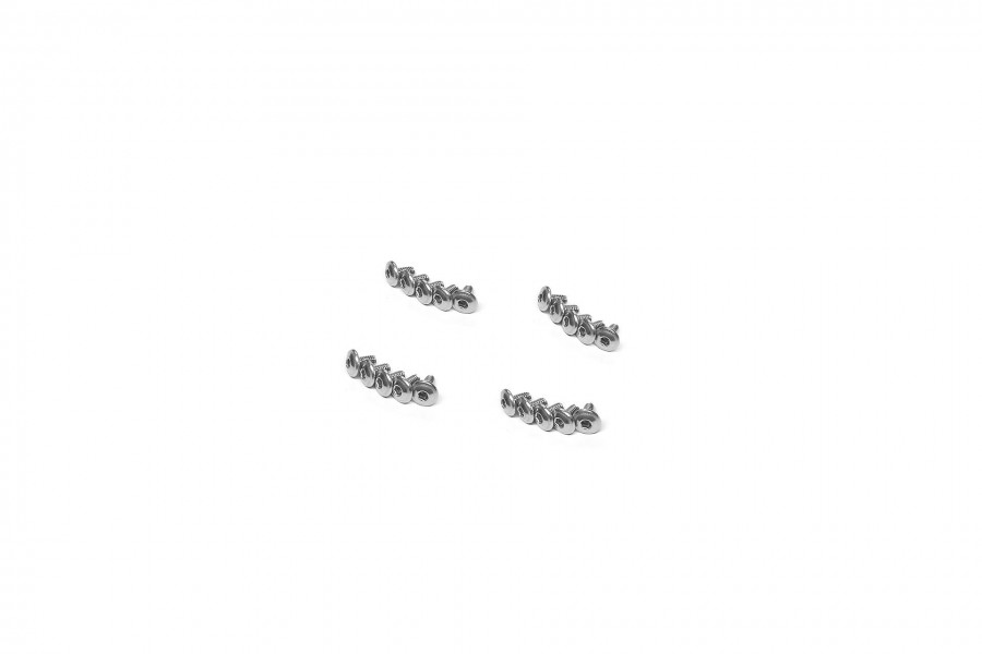 Stainless Steel Hex Socket Washer Screw (WM2×4mm)